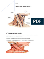 Triángulos Del Cuello