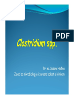 +clostridium SP 2011