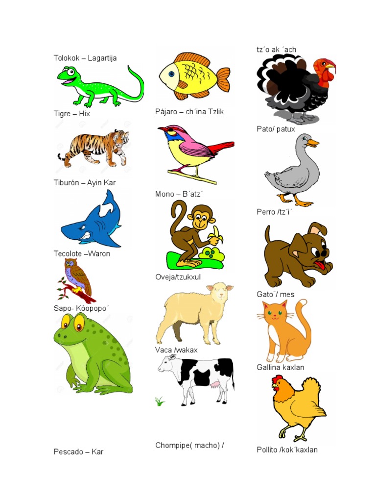 Animales en Q Eqchi | PDF