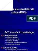 Blocante Ale Canalelor de Calciu (BCC)