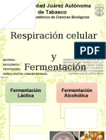 Respiración Celular y Fermentación