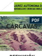 Cárcavas