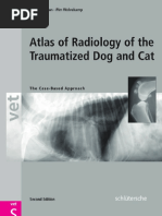 IDEXX CBC Chem Explained | PDF | Renal Function | Creatinine