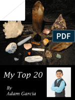 My Top 20 by Adam The Crystal Grid Maker PDF