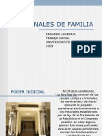 ppt tribunales de familia