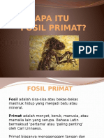 Fosil Primat Dan Penemuannya