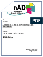 ANTEPROYECTO.docx