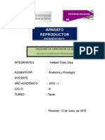 anatomia nuevo.docx