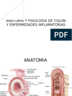 Anatomia y Fisiologia de Colon