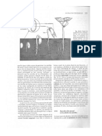 Biologia Avileplantascon Sem