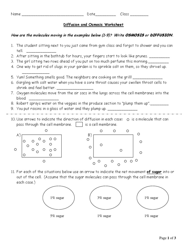 11 - Diffusion and Osmosis - Worksheet  Osmosis  Cell Biology With Regard To Diffusion And Osmosis Worksheet Answers
