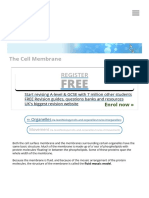 The Cell Membrane _ S-cool, The Revision Website