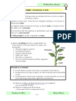 08 Actividad 5 PDF