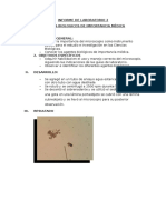 Informe de Laboratorio 2