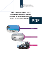 Fifth Progress report BES islands