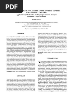 Download Jurnal Biomolekuler Tomat by Bagoes Santozo SN315785508 doc pdf