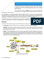 Sistema Nervoso: Neurônios e Funções Básicas