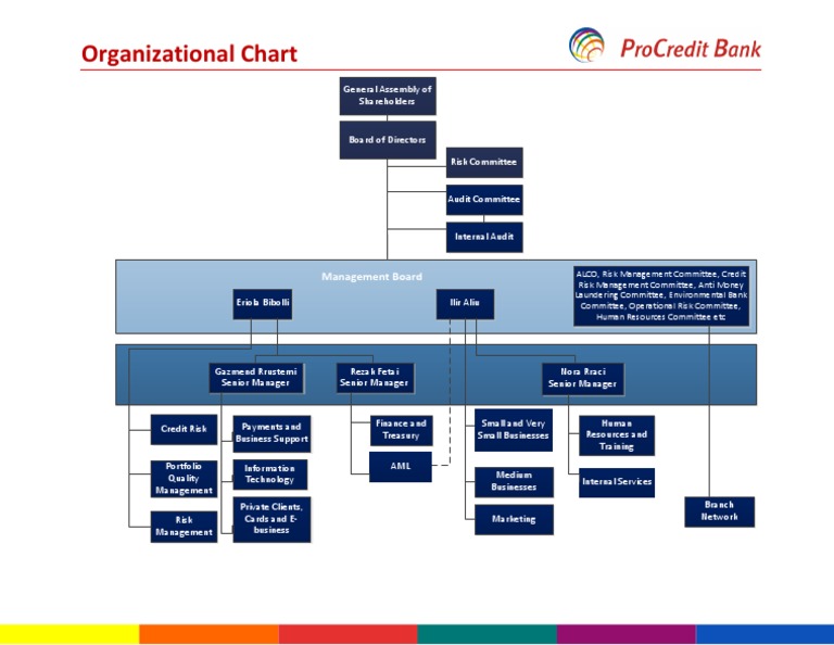 Organizational Chart Overview | PDF