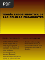 teoria-endosimbiotica