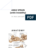 Ankle Sprain Instability