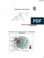 Metabolismo Del Colesterol