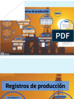 Registros de Produccion PDF