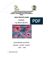 Trabajo Virus Micoplasma