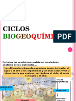 Ciclos Biogeoquímicos 14b