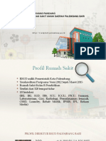 Profil Selayang Pandang PDF