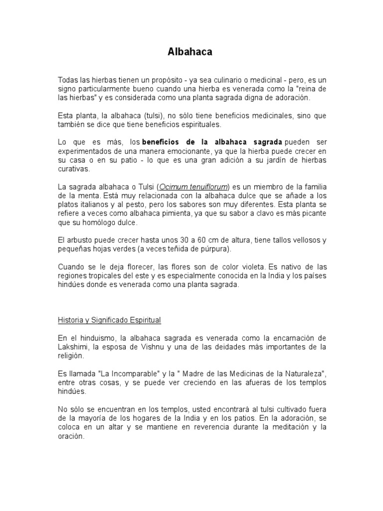 Albahaca 2  PDF  Albahaca  Cáncer