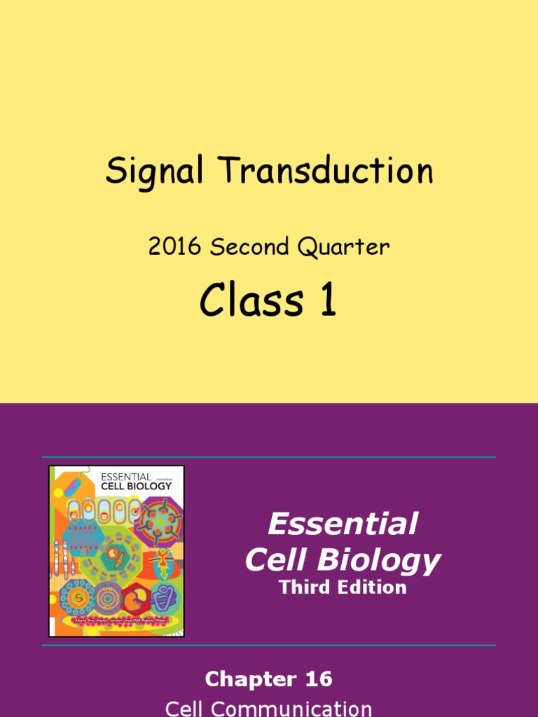 2016 - Q2 Signal Transduction (Moodle) | PDF | Cell Signaling ...