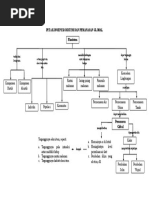 Buatlah Kunci Determinasi Dari Hewan Berikut Ini Brainly