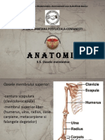 Anatomie3 2