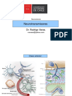 Clase 5 Neurotransmisores