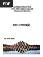 Aula_indices de Vegetação