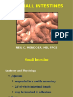 General Surgery SMALL INTESTINES