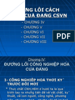 Duong Loi Kinh Te Cua DCS VN