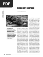 Consejo Pontificio - Contra La Corrupcion 2006
