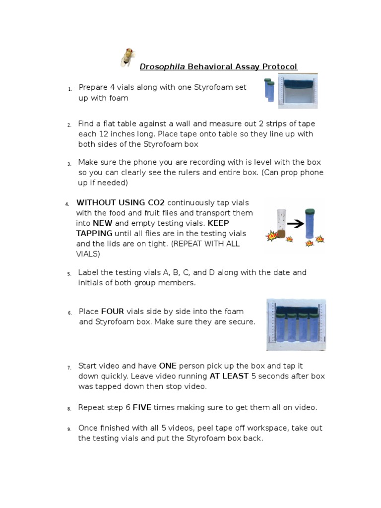 Drosophila Activity Assay Protocol PDF