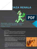 Litiaza Renala