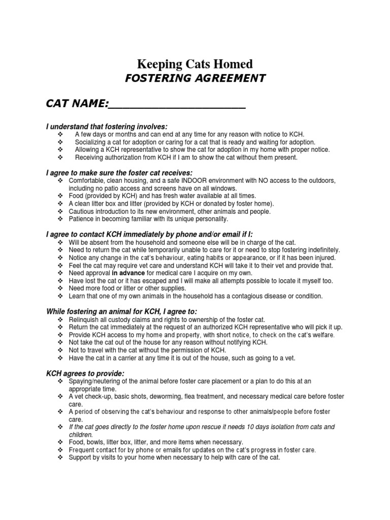 kch fostering agreement Foster Care Cats