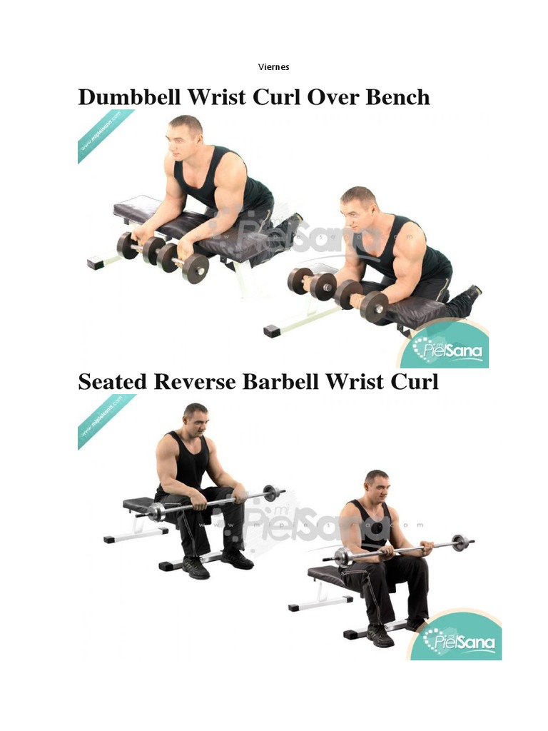Effective Dumbbell and Barbell Exercises | PDF