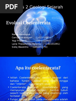 83 Koleksi Gambar Kelompok Hewan Coelenterata Gratis Terbaru