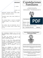 Diptico Constelaciones Familiares 6