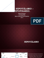 Eje Hipotálamo – Hipofisario