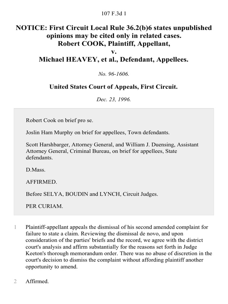 Cook v. Heavey, 107 F.3d 1, 1st Cir. (1996) | PDF | Politics | Law