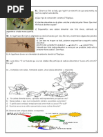 cadeias alimentres III.doc