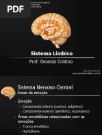 estruturaefuncaodosistemalimbico