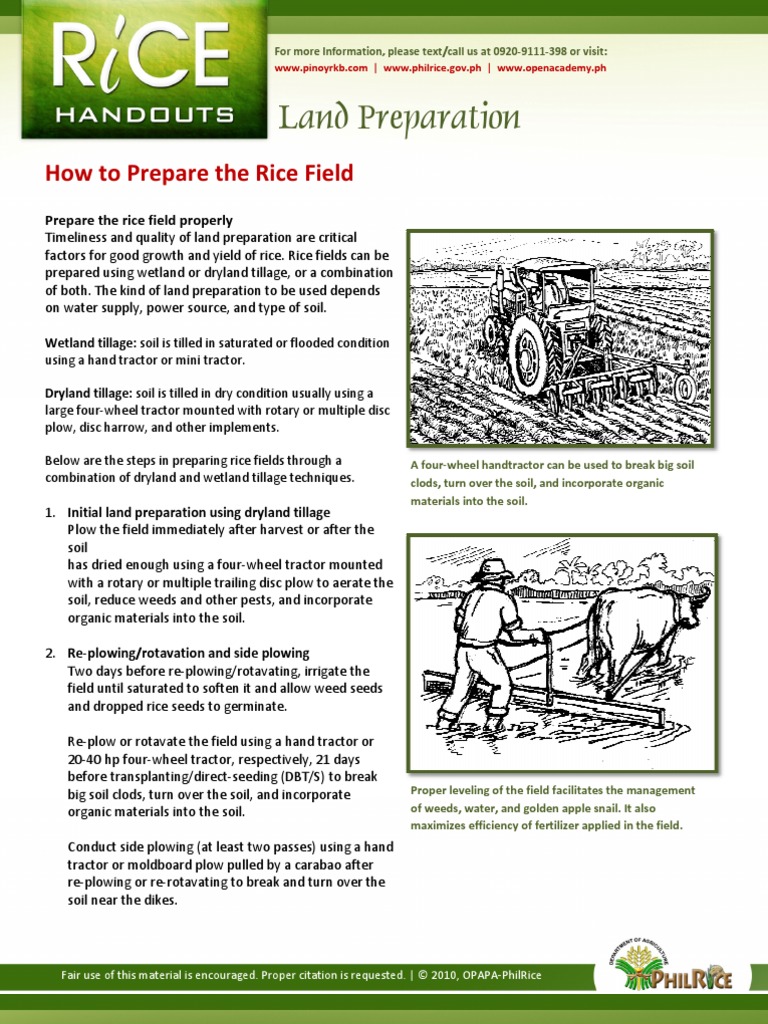 Rice Field Preparation Guide | PDF | Tillage | Rice