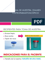 Toma de Muestra PDF